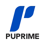 PU Prime broker review
